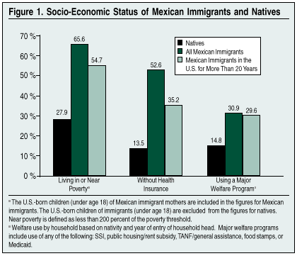 Graph: Socio-economic Status of Mexican Immigrants and Natives