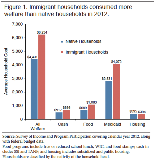 Table: Welfare by Native and Immigrant Households