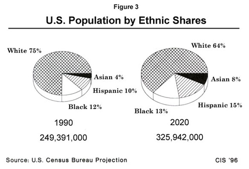 Graph: US Population by Ethnic Shares 1996