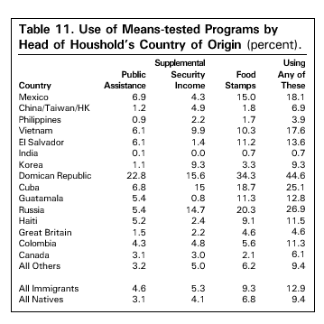 Table: Use of Means Tested Programs by Head of Household's Country of Origin