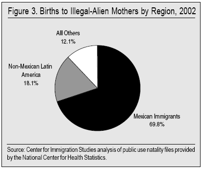 Graph: Births to Illegal Alien Mothers by Region, 2002