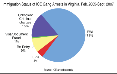 Graph: Immigration Status of ICE Gang Arrests in VA, Feb 2005 to Sept 2007