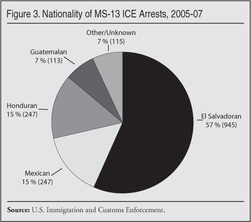 Graph: Nationality of MS-13 Arrests, 2005-2007
