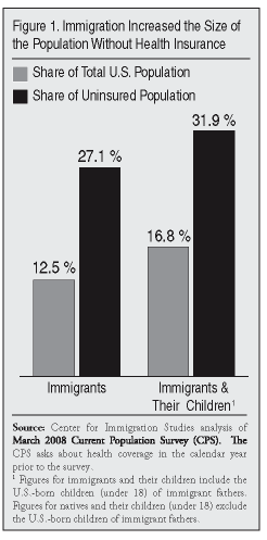 Graph: Immigration Increased the Size of the Population Without Health Insurance