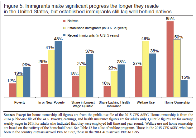 Graph: Poverty Health Insurance, Welfare Use and Home Ownership, Immigrants and Natives