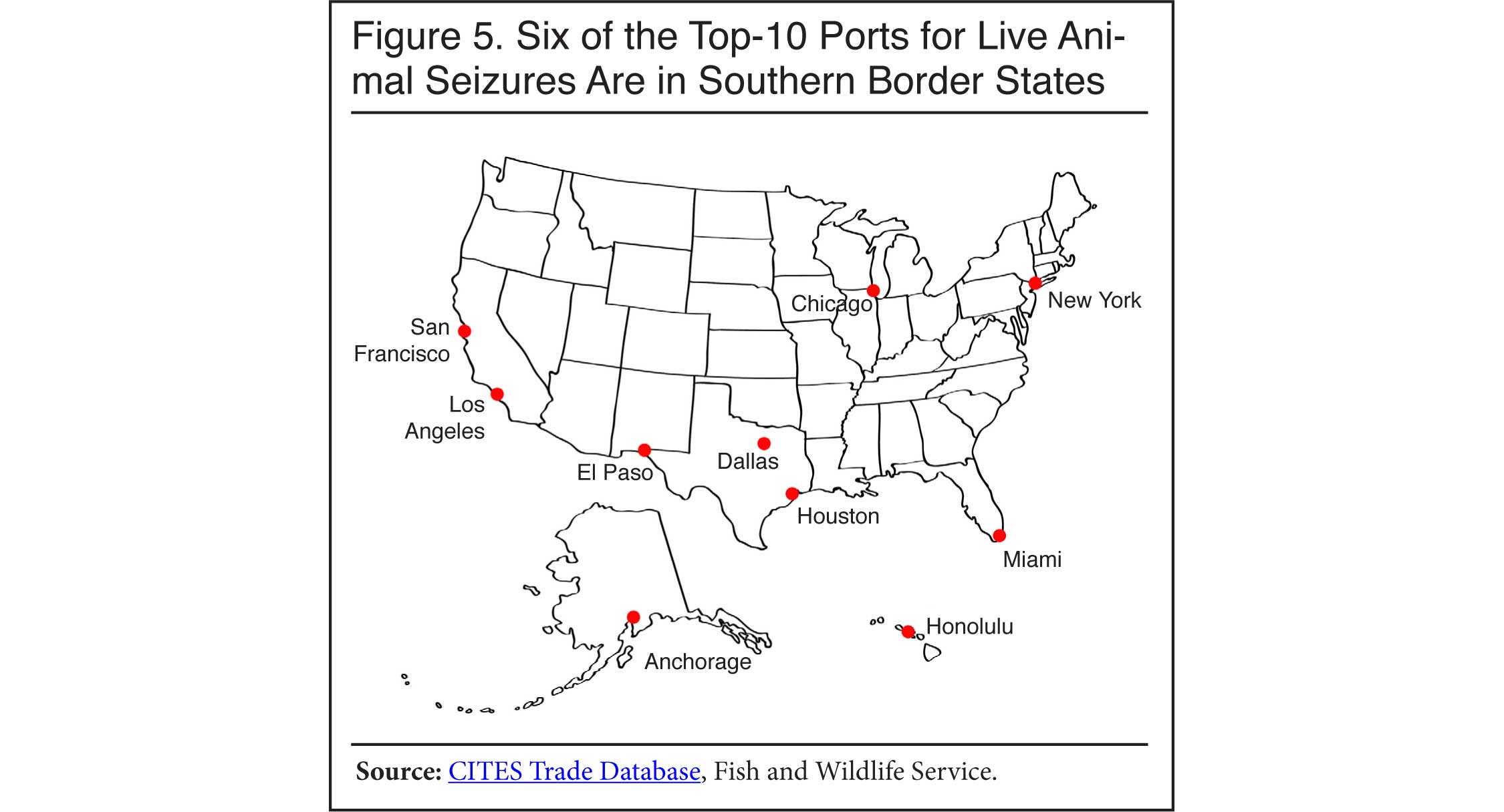 Graph: Six of the top 10 ports for live animal seizures are in southern border states