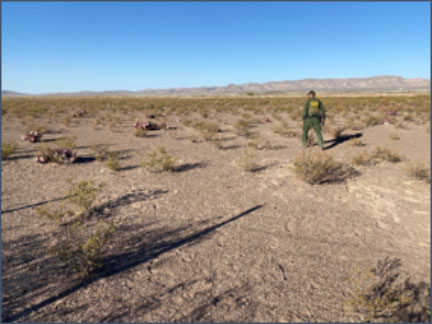 A lone Border Patrol Agent searching against all odds for an immigrant group that successfully hid somewhere in this desert