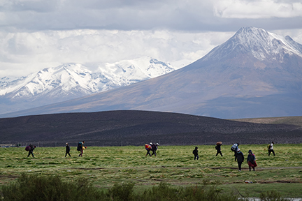 Migrants hiking across the Altiplano