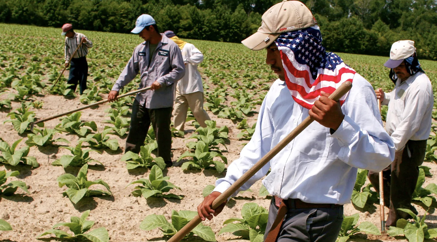 Mexican farmworkers shown on Fox News