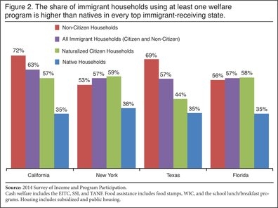 Immigrant Welfare Use