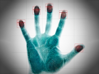 Panel: Biometrics in Immigration