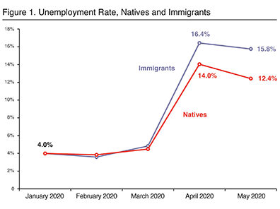 Employment Situation May 2020