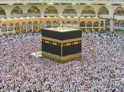 The Number of Immigrants from the Muslim World