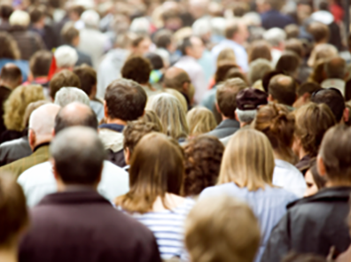 Total Foreign-Born Down 2.9 Million